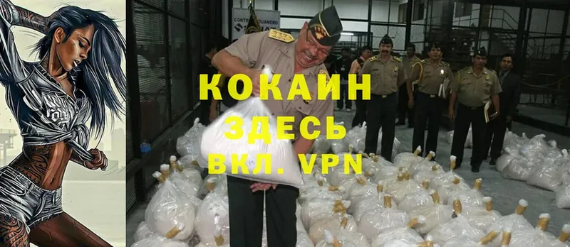 Купить наркотики Бакал A-PVP  ссылка на мегу маркетплейс  Меф  Каннабис  Гашиш  Cocaine 